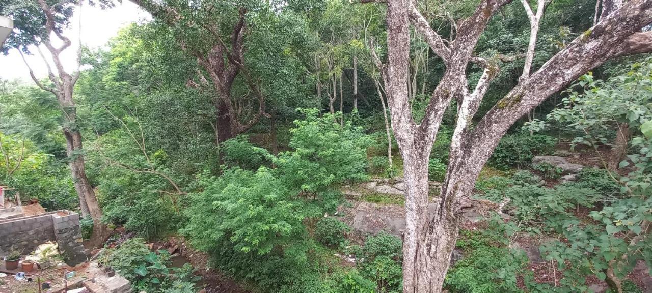 Istays - Loop Road, Yercaud Zewnętrze zdjęcie